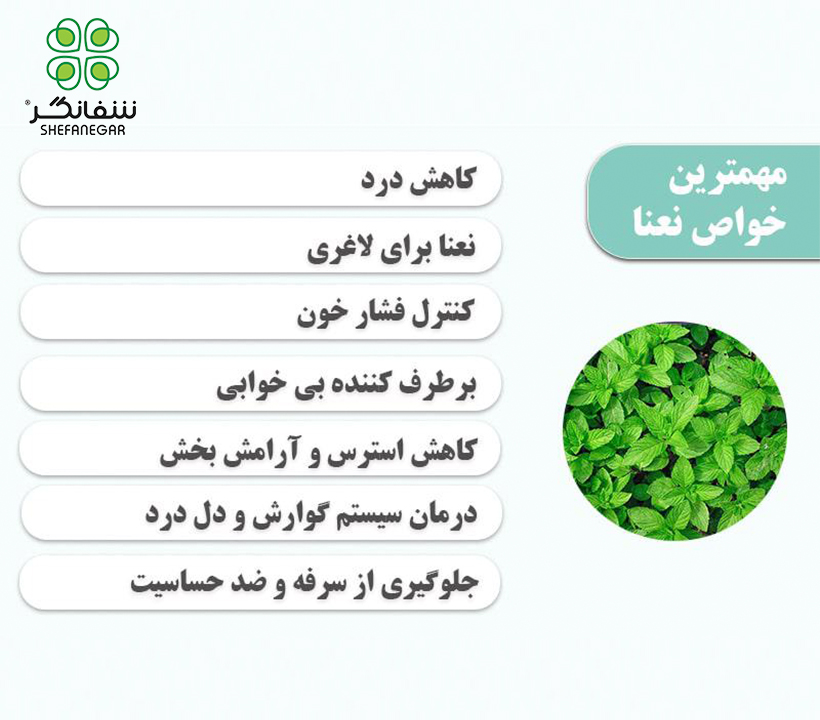 نعنا ریز