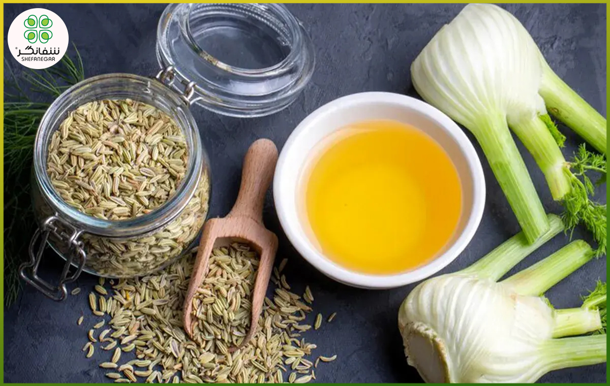 فواید رازیانه برای بدن: از تقویت هورمون‌ها تا بهبود گوارش و زیبایی پوست