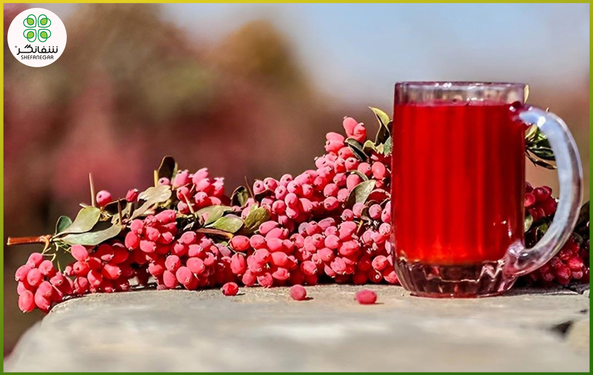 خواص آب زرشک در طب سنتی؛ لاغری، درمان کبد چرب و تقویت سیستم ایمنی بدن