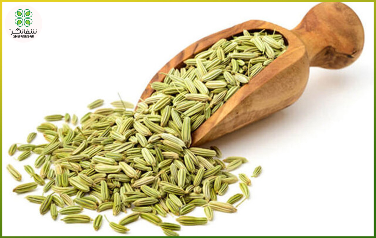 خواص زیره؛ از کمک به لاغری و سلامت معده تا تقویت سیستم ایمنی بدن