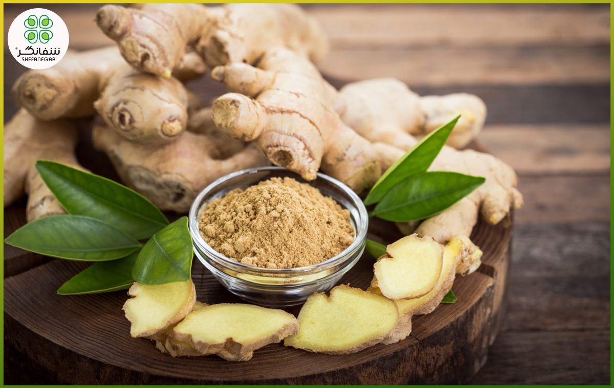 خواص زنجبیل برای مردان؛ از تقویت قوای جسمی تا سلامت جنسی