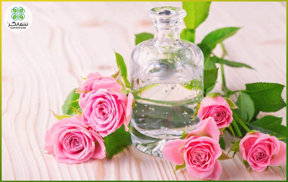 خواص گلاب چیست؟ معجزه‌ی طب سنتی برای آرامش، پوست و سلامت بدن
