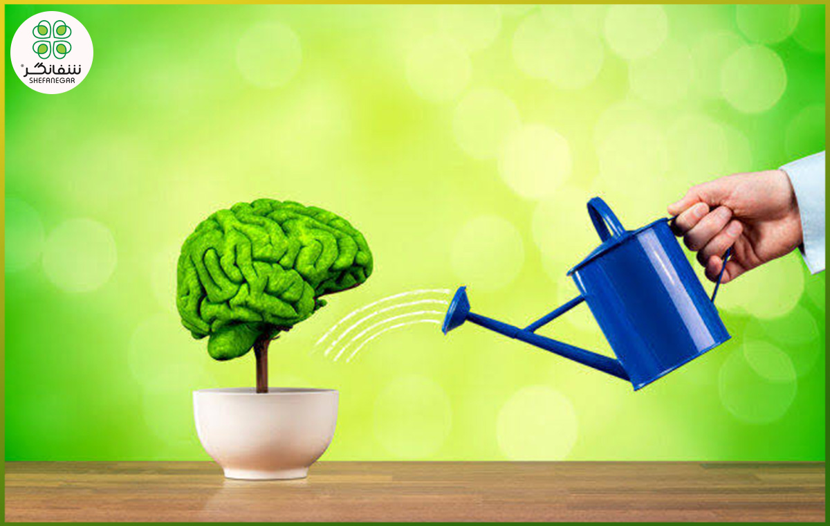 برای تقویت حافظه چه کنیم؟ راهکارهای افزایش تمرکز و بهبود عملکرد ذهن